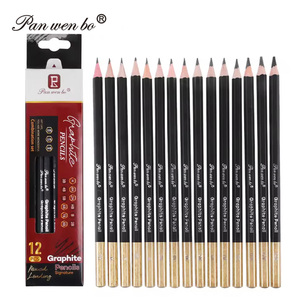 Set Professionale Panwenbo di 12 Matite a Carboncino Standard, Set di Matite in Grafite <span class=keywords><strong>per</strong></span> Artisti e Schizzi - Product Image 1