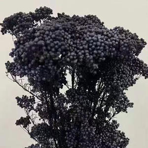 Оптовая продажа консервированных натуральных цветов просо сушеный букет для свадебного украшения - Product Image 4