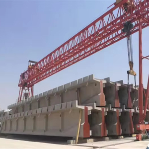 رافعة جسرية هندسية ذات عارضة مزدوجة 30-120 طن، محرك بمحامل وعلبة تروس PLC، معتمدة من CE، ارتفاع رفع 12-20 متر، من CraneTech - Product Image 1