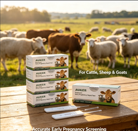 Kit de test de grossesse précoce rapide pour bovins et ovins, carte de test HCG pour vache, brebis, animaux d'élevage, détection de la gestation