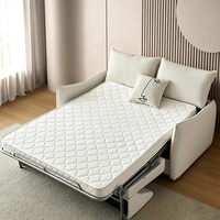 Sofá Cama Plegable Moderno para Sala de Estar, Sofá Seccional de 2 Plazas con Futón Extraíble, Sofá Cama Convertible Reclinable de Tela de Lujo con Colchón
