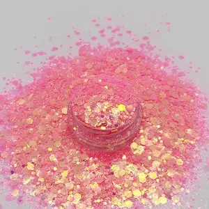 Penjualan Laris Glitter Chunky Campuran Warna-warni Hewan Peliharaan untuk Kosmetik