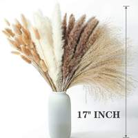Boho décor de mariage 45 Cm 100 pièces, ensemble de Bouquet de queue de lapin en herbe de pampa séchée mixte