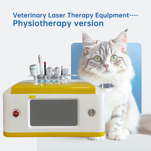 Láser de Diodo de Alta Intensidad de 980nm con Certificación CE para Rehabilitación de Mascotas Caninas y Felinas, Manejo del Dolor, Láser Veterinario Profesional - Product Image 5