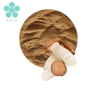 Polvo de extracto de Pleurotus <span class=keywords><strong>eryngii</strong></span> en polvo de hongo ostra rey natural - Product Image 1