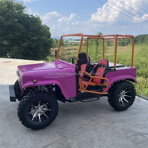 <span class=keywords><strong>Panique</strong></span> Achat Couleur Rose 2 Places Usine Vente Directe 4x4 Plage Buggy Visite Jeep Voiture 200 Club Jeep Go Kart Énergie Électrique - Product Image 1