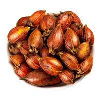 Zhi Zi – Produit alimentaire santé à base d'herbes de haute qualité, en gros, pour éliminer la chaleur et soulager les irritations, rafraîchir et favoriser la diurèse
