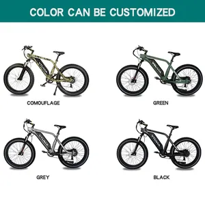 OEM ODM USA Warehouse Stock Cheap 250W 750W 36V 48V Road High Speed Fat Tire Ebike Electric Dirt Bike For Adults From Chinese