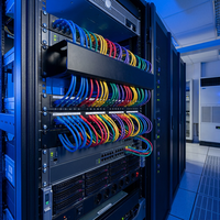 Panel de Conexiones Cat6 Integrado de 24 Puertos con Barra de Soporte Trasera 1U 19" para Montaje en Rack, Organizador de Ethernet Gigabit, Marco de Distribución CNTA PA66