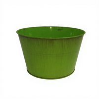 Pot de fleurs en métal de 1 gallon pour la maison, le jardin et les présentoirs de plantes