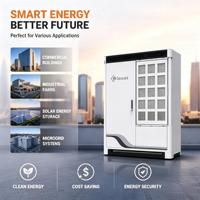 Sistema de Batería Solar Híbrida de Iones de Litio de 45 kWh y 20 kW para Montaje en Rack con Protección IP54 y Diseño Todo en Uno