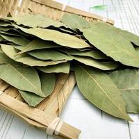 Feuilles de Laurier Séchées Naturelles Sans Soufre, Épice Entière de Laurus Nobilis pour Braiser, Faire des Sauces, des Marinades et pour l'Industrie Alimentaire