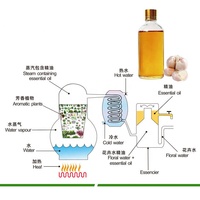 Huile essentielle d'ail en gros de haute qualité pour l'alimentation animale et additif pour gélules