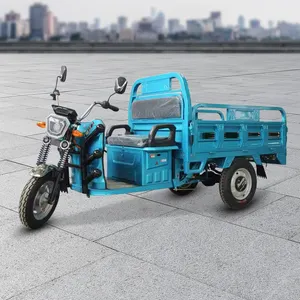 Vente en gros de pousse-pousse électrique à trois roues alimenté par batterie pour l'agriculture tricycle électrique de cargaison