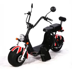 Holland Warehouse 2022 newest citycoco, electric scooter city coco high power with big tire for adult