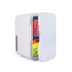 Mini buzdolabı 12V220V taşınabilir Mini buzdolabı meyve araba buzdolabı Mini buzdolabı soğutucu isıtıcı araba buzdolabı
