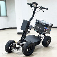 Scooter à 4 roues de 13 pouces, batterie au lithium 48V 34Ah, moteur double 3600W, suspension McPherson, tout-terrain, ATV électrique de ville, quad, 200 kg