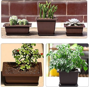 Fournitures de jardin <span class=keywords><strong>pas</strong></span> <span class=keywords><strong>cher</strong></span> Macetas Para Bonsai Rectangle 11 "Bonsai Pot de fleur 29cm <span class=keywords><strong>Grand</strong></span> Bonsai Pot - Product Image 5