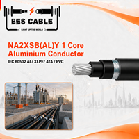 Câble d'alimentation moyenne tension NA2XSB(AL)Y 1 conducteur en aluminium, isolation XLPE, gaine en PVC, blindage en bande d'aluminium, norme IEC 60502