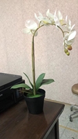 Vente en gros d'usine, fausse tige naturelle, papillon artificiel, orchidée, fleur en Pot pour la maison, le bureau, décoration de fête de mariage