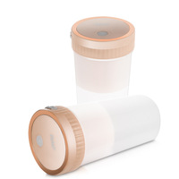 300ml 10oz Multi-fonction Portable Personnalisé Mixeur Usb Type-C Mélangeur Tasse Glace Portable Mini Tasse presse presse-agrumes