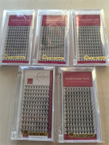 Extensiones de Pestañas Premade Volume Fans, Efecto Mate, Visón Sintético, Naturales, Densas y Rizadas, Segmentos de Pestañas Individuales para Salón, Segmentos de Pestañas 10D - Product Image 6