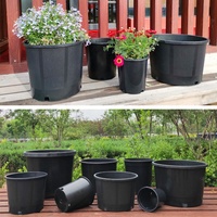 Pots de pépinière de plantes de plusieurs tailles en vente en gros