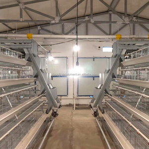 Kenya tavuk çiftlik evi otomatik tavuk kafesleri yumurta toplama sistemi ile yumurta döşeme tavuk kümesi - Product Image 3
