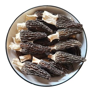 <span class=keywords><strong>Prix</strong></span> d'usine <span class=keywords><strong>Morilles</strong></span> <span class=keywords><strong>Morilles</strong></span> séchées - Product Image 1