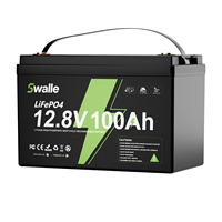 Système solaire de chauffage avec batterie LiFePo4 12V 24V 48V contrôlée par Bluetooth 100Ah 200Ah 300Ah, disponible en entrepôts UE et US