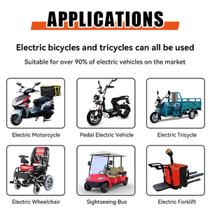 Customized 12V 24V 36V 48V 60V 72V 10Ah 20Ah 30Ah 40Ah 50Ah 100Ah Lithium Ion Battery Pack for E-bike Scooter Electronic - Product Image 5