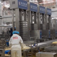 Ligne d'assemblage intelligente, efficace et à haute productivité contrôlée par PLC pour la production automatique à grande échelle de tofu coulé en pâte