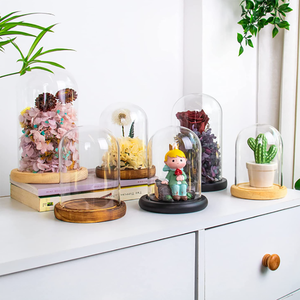 Vente <span class=keywords><strong>en</strong></span> gros bon marché borosilicate transparent décoratif clair <span class=keywords><strong>grande</strong></span> taille <span class=keywords><strong>cloche</strong></span> <span class=keywords><strong>en</strong></span> <span class=keywords><strong>verre</strong></span> dôme avec poignée et base <span class=keywords><strong>en</strong></span> bois - Product Image 6