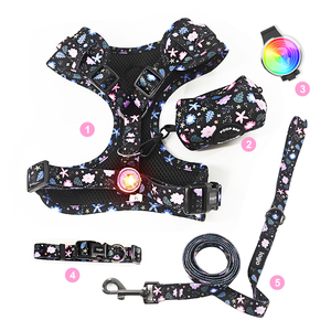 Hot Sale 5 Arten Haustier zubehör Hunde geschirr und Leine Set Hunde halsband mit Poop Bag Holder LED Hunde halsband Licht Zubehör - Product Image 1