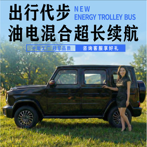 <b>Electric</b> <b>UTV</b> Fully Enclosed Dual Use <b>Electric</b> And Gasoline Four Wheeled <b>Vehicle</b> 700kg 110-280km Range Family Mobility - Product Image 5
