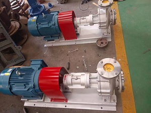 Bomba Centrífuga Mini de Circulación de Aceite Caliente Eléctrica Horizontal de Alta Calidad LQRY para Venta al Por Mayor - Product Image 2