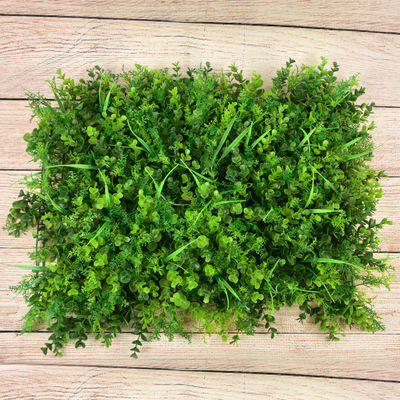 Assortiment d'eucalyptus