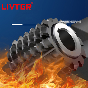LIVTER Bán Hot Hss M2 <span class=keywords><strong>Module</strong></span> M25 Involute Spline Bánh <span class=keywords><strong>Hobbing</strong></span> Cutter - Product Image 6