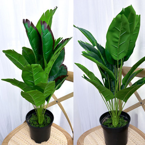 Plante artificielle en feuilles de bananier, 75 cm de haut, simulation réaliste, décoration intérieure, maison, hôtel, verdure - Product Image 2