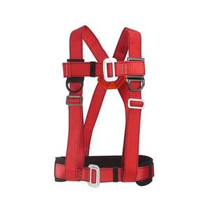 Vente en gros <span class=keywords><strong>ceinture</strong></span> de harnais de sécurité corporelle en polyester de haute qualité personnalisée équipement de monteur de ligne professionnel pour ouvriers de la construction - Product Image 2