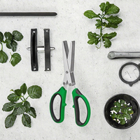 Cuisinart C77-SHRH Tijeras para Hierbas de Acero Inoxidable de 8.5 Pulgadas con Hoja Recta para Diestros, Acabado Cepillado, Sin Electricidad
