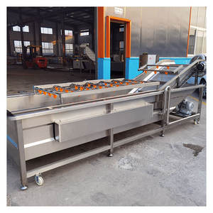 Industriële Druivenwasmachine Doorlopende Reiniging Bubbel Groentewastransportband - Product Image 5