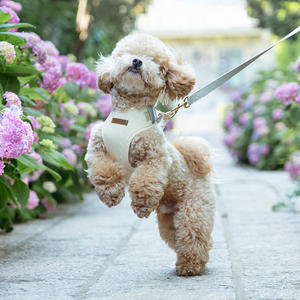 <span class=keywords><strong>Harnais</strong></span> <span class=keywords><strong>pour</strong></span> animaux de compagnie de style coréen, spécial <span class=keywords><strong>pour</strong></span> petits chiens, Teddy, Bichon Frisé, <span class=keywords><strong>Yorkshire</strong></span> Terrier, laisse <span class=keywords><strong>pour</strong></span> chien en maille respirante <span class=keywords><strong>pour</strong></span> l'extérieur - Product Image 4