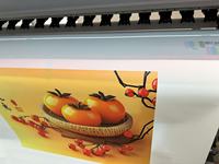 En bon état, imprimante UV Mimaki UJV100-160 à rouleau d'occasion, utilise de l'encre lus210