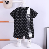 Conjunto de Ropa de Verano para Niños 2024, Traje Informal de Estilo Coreano de Dos Piezas con Manga Corta, Seda de Leche y Poliéster