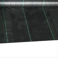 Toile de paillage agricole en PP tissé anti-mauvaises herbes pour aménagement paysager, vergers et jardins, protection UV, en rouleau
