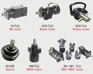 Drilling Rig/Snowplow/Tractor/excavator/Crawler Digger Danfoss/Eaton Orbital Hydraulic Pump/Motor