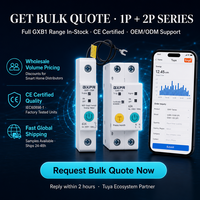 GXPR GXB1-63M Tuya WiFi Smart MCB 1P 2P 63A Ewelink Remote Control Circuit Breaker Mendukung Alexa Google Home