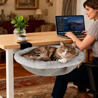Lit de bureau pour chat pliable et peu encombrant pour l'intérieur, design confortable pour bureaux de jeu