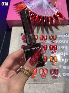 Vernis à ongles en gel de haute qualité 12ml Gel UV Ensemble complet 16 couleurs rouges Vernis à ongles en gel pour les yeux de chat Marque privée Professionnel pour l'art des ongles - Product Image 6
